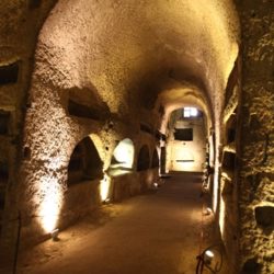 v_edizione_24